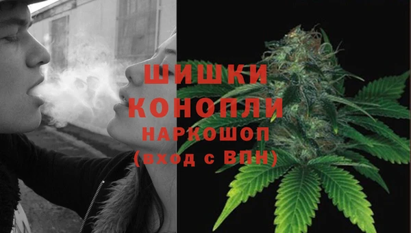 гашик Каменногорск